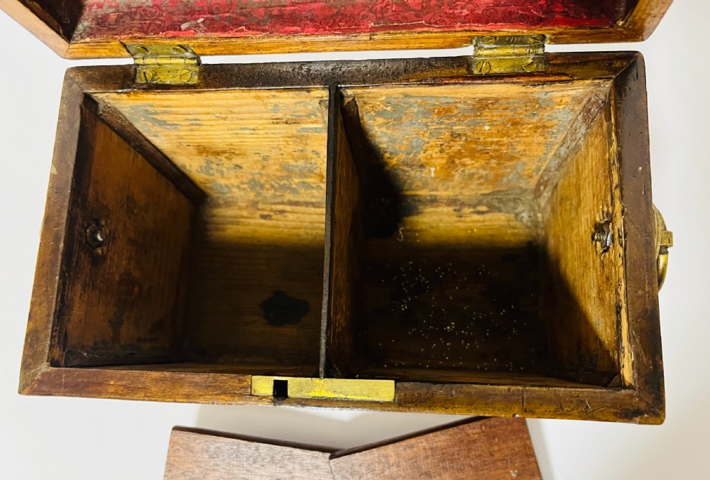 Regency Partridge Wood Tea Caddy View X