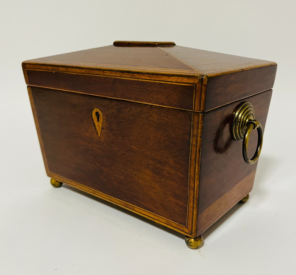 Regency Partridge Wood Tea Caddy View XI