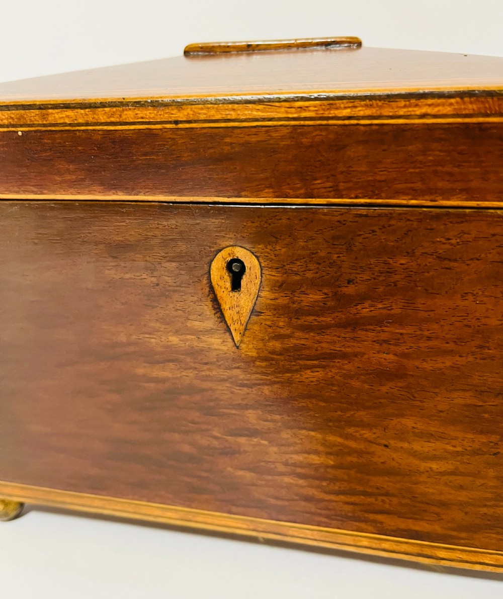 Regency Partridge Wood Tea Caddy View XII