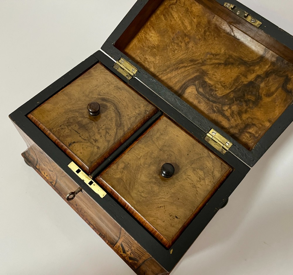 Victorian Walnut Domed Inlaid Tea Caddy View III