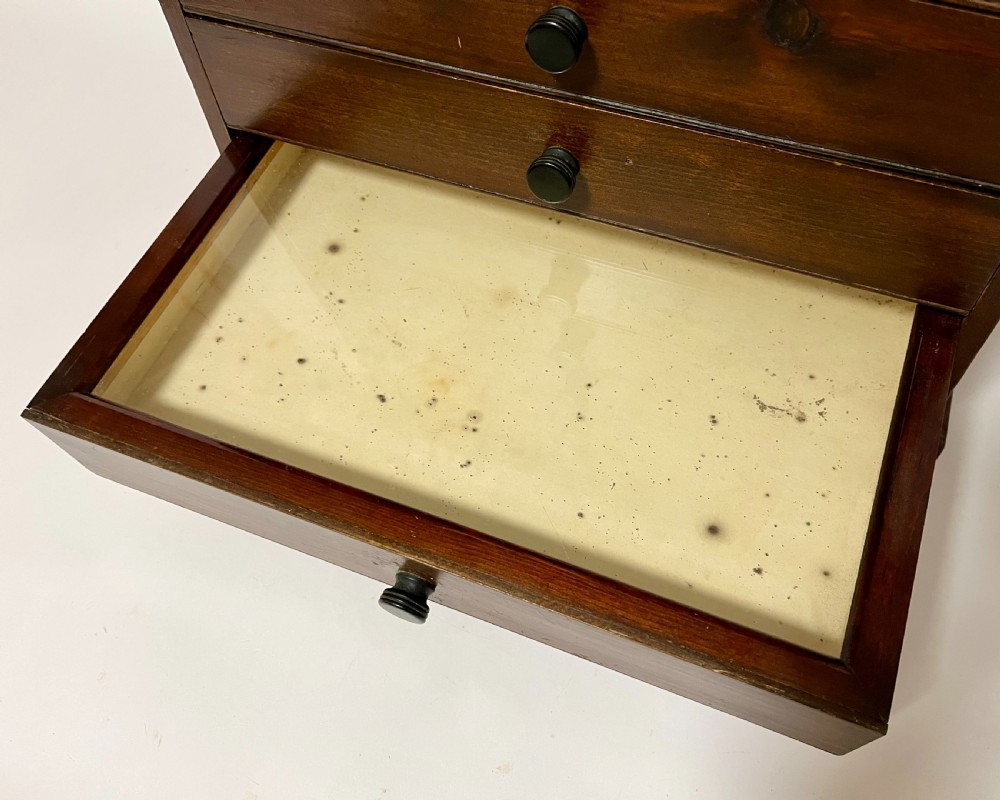 Antique Stained Pine Specimen Cabinet View IV