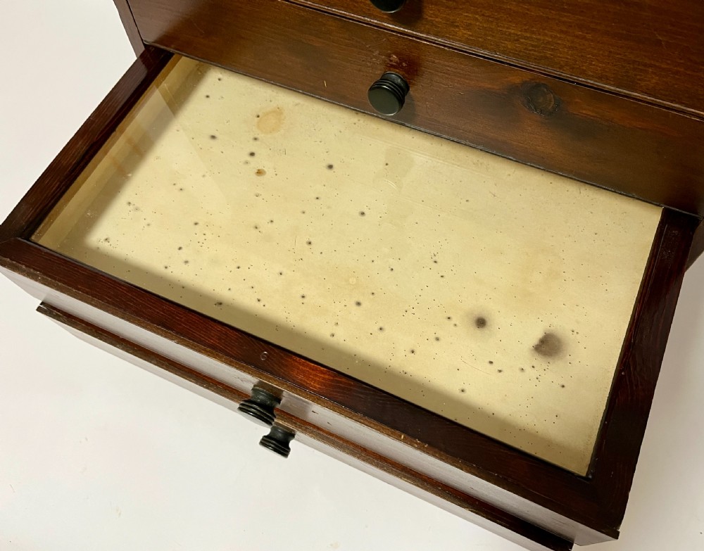 Antique Stained Pine Specimen Cabinet View V