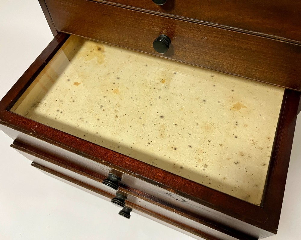 Antique Stained Pine Specimen Cabinet View VI
