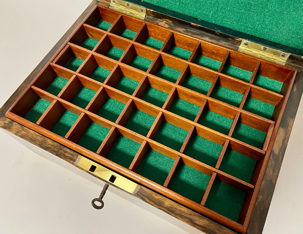Victorian Coromandel Fitted Collector's Box View IV