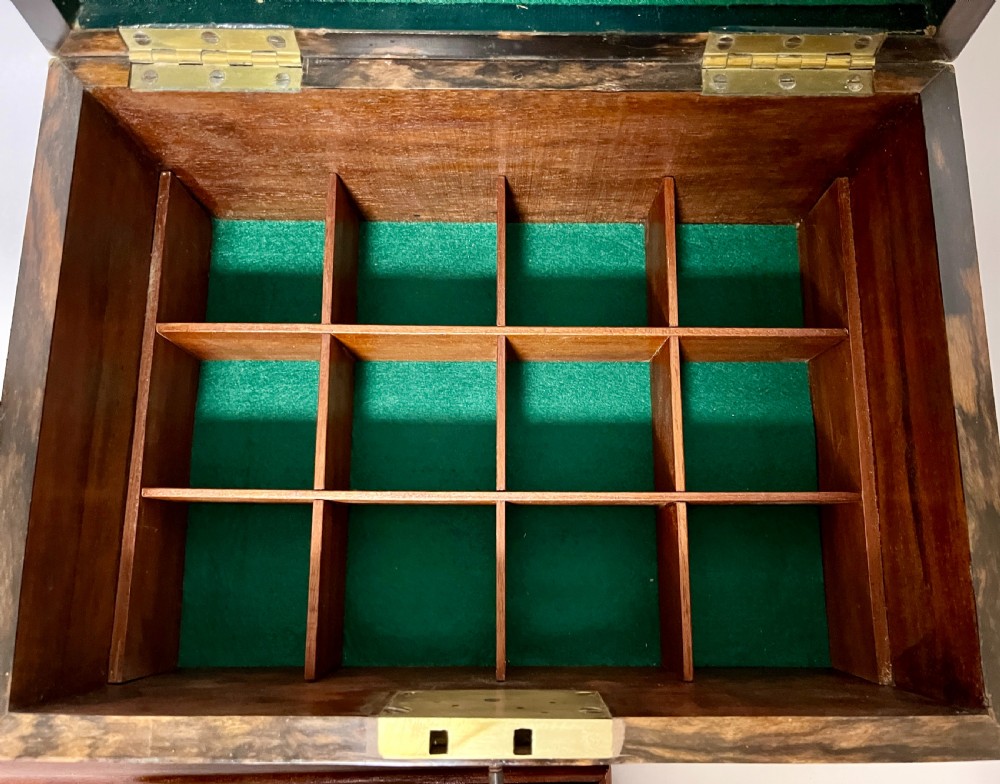 Victorian Coromandel Fitted Collector's Box View V