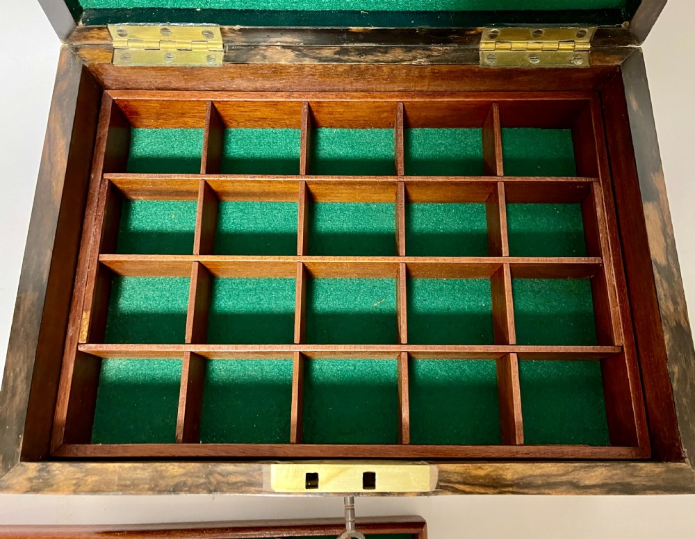 Victorian Coromandel Fitted Collector's Box View VI