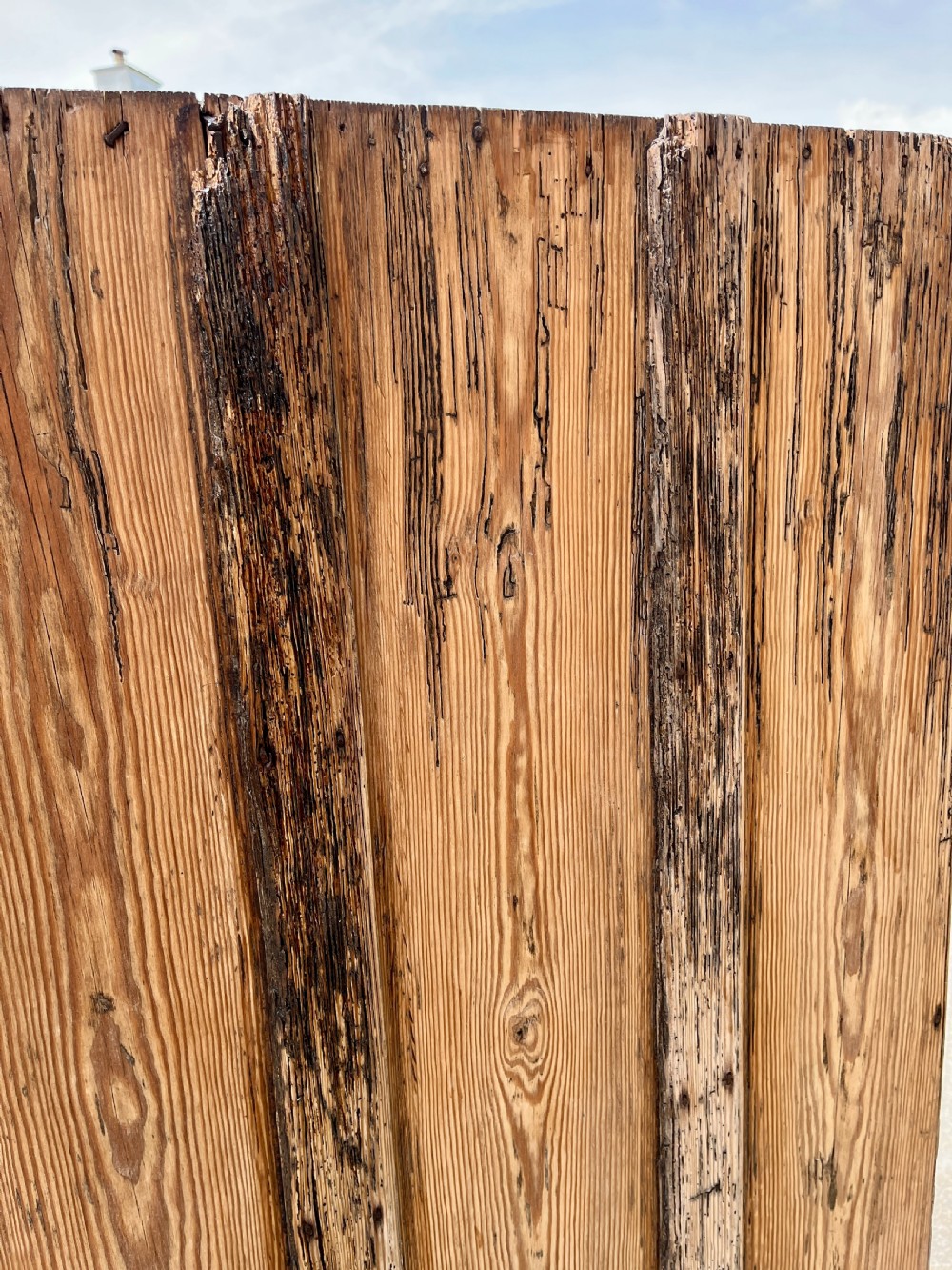 Antique High Back Pine and Elm Settle View VIII