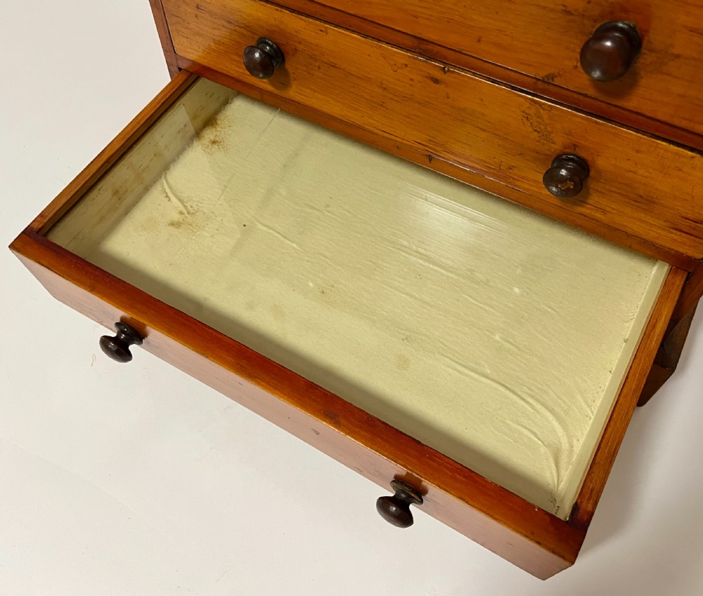 An antique stained pine specimen cabinet featuring four horizontal drawers with turned dark wood knobs and a solid plinth base. View II
