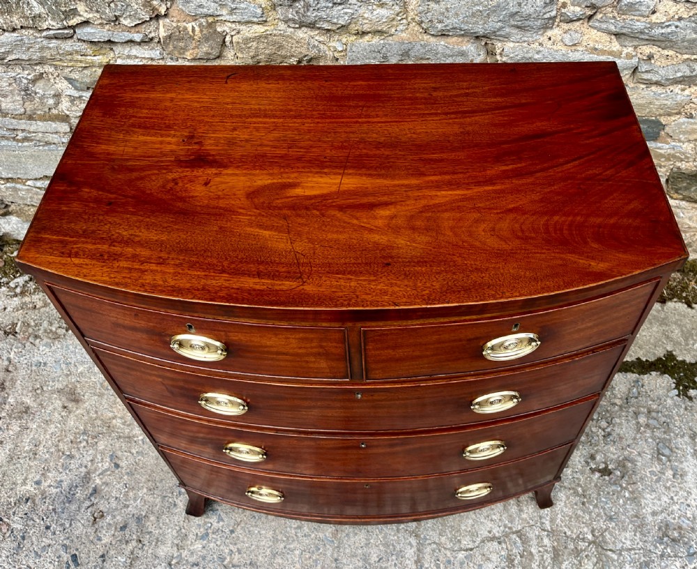 Regency Mahogany Bow Front Chest of Drawers View IV