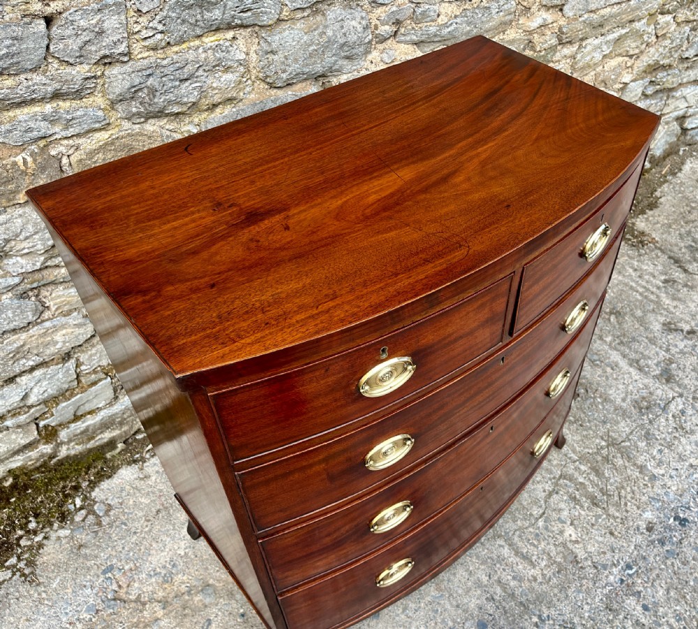 Regency Mahogany Bow Front Chest of Drawers View V