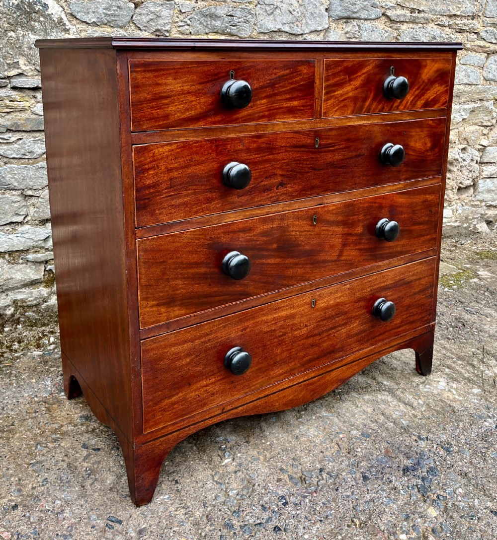 Regency Mahogany Chest of Drawers View III