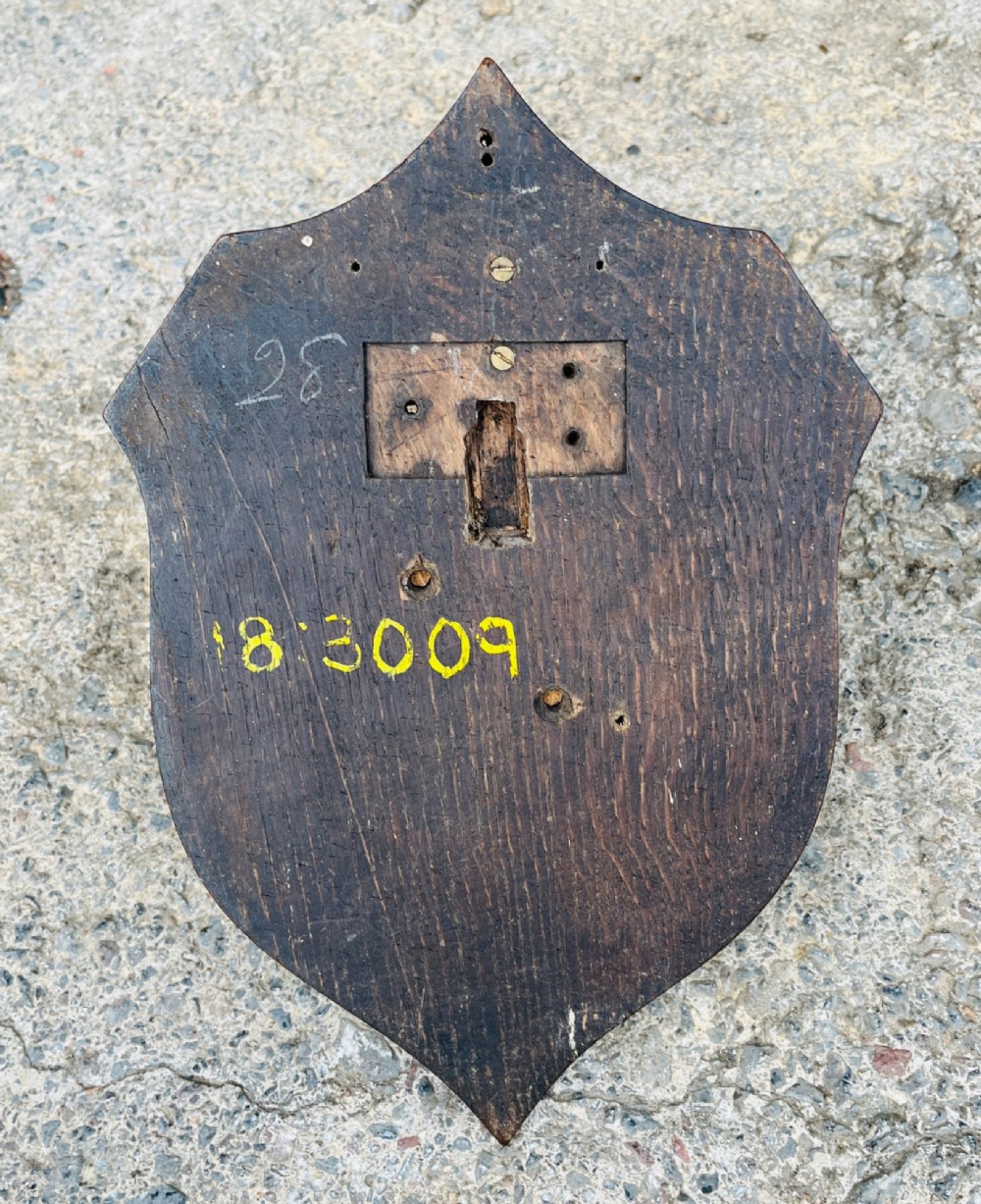 A pair of spiralled black bushbuck horns attached to a bone skull fragment, mounted on a dark shield-shaped wooden plaque with a small inscribed brass label at the base. View VIII