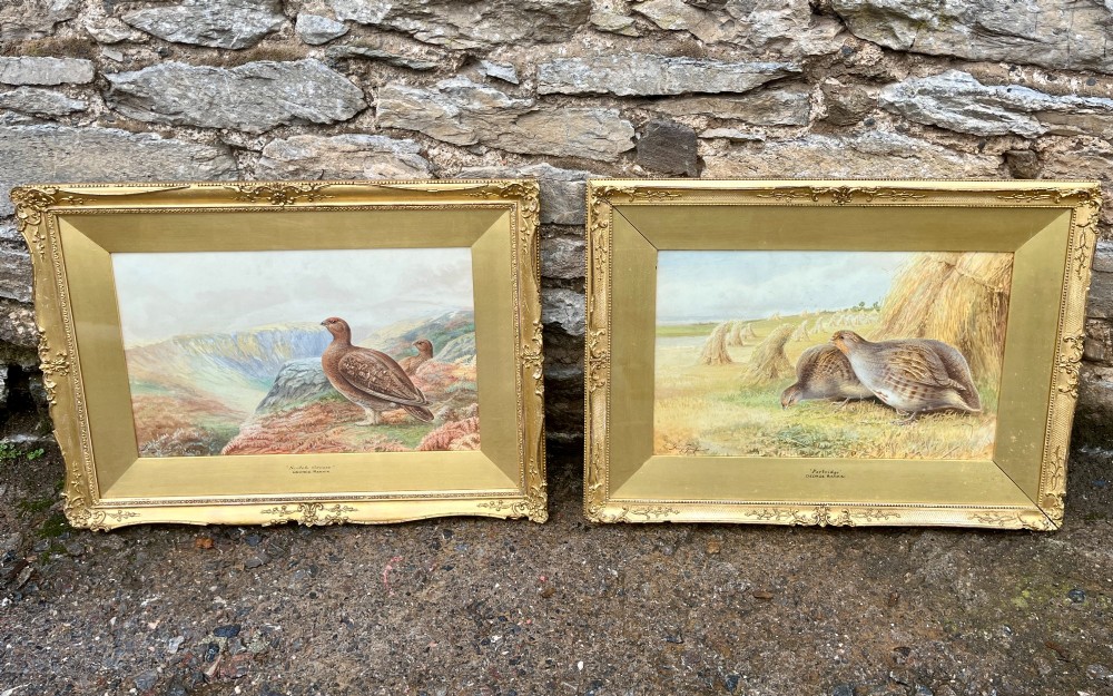 A pair of gilt-framed watercolour paintings depicting red grouse and partridge in rural landscape settings.