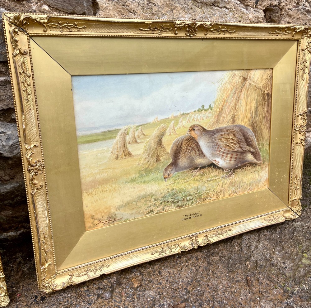 A pair of gilt-framed watercolour paintings depicting red grouse and partridge in rural landscape settings. View VI