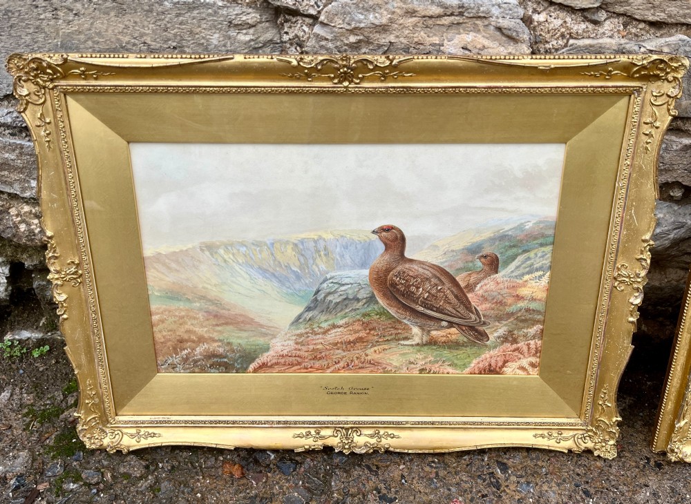 A pair of gilt-framed watercolour paintings depicting red grouse and partridge in rural landscape settings. View VII