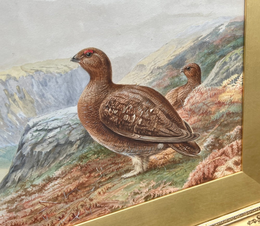 A pair of gilt-framed watercolour paintings depicting red grouse and partridge in rural landscape settings. View VIII