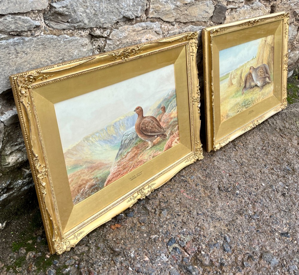 A pair of gilt-framed watercolour paintings depicting red grouse and partridge in rural landscape settings. View XII