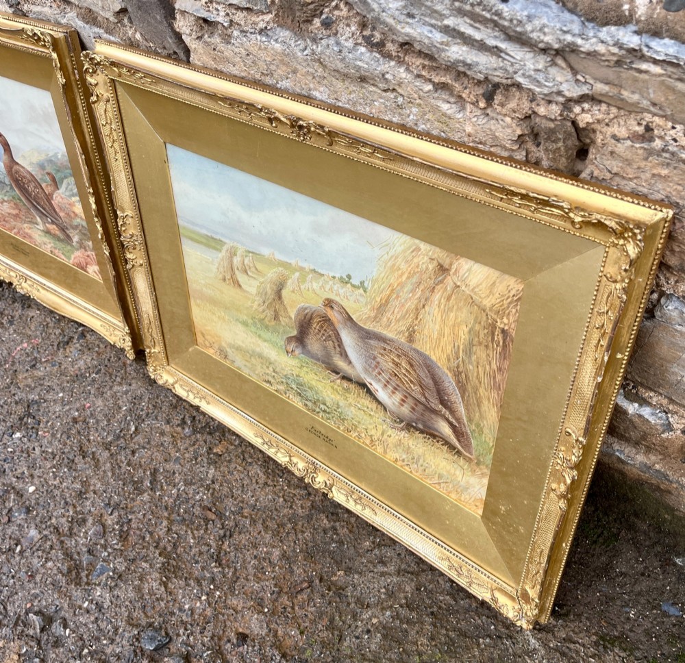 A pair of gilt-framed watercolour paintings depicting red grouse and partridge in rural landscape settings. View XV