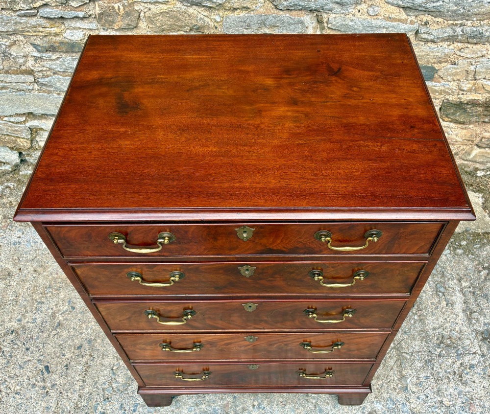 Georgian Mahogany Chest of Drawers View VIII