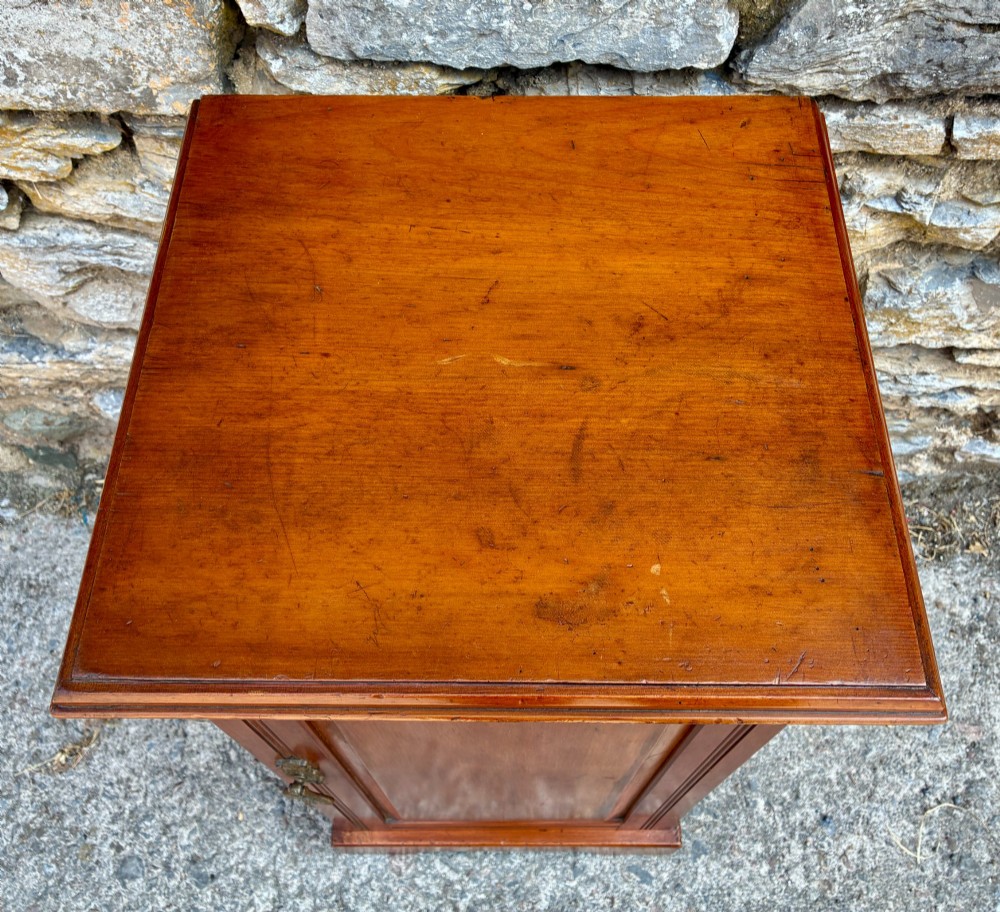 An Edwardian warm brown walnut pot cupboard featuring a single panelled door with a brass handle and reeded side moulding. View III
