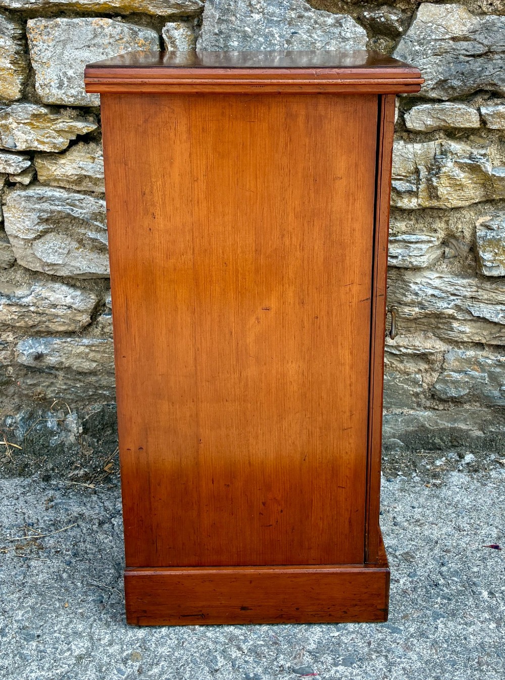 An Edwardian warm brown walnut pot cupboard featuring a single panelled door with a brass handle and reeded side moulding. View X