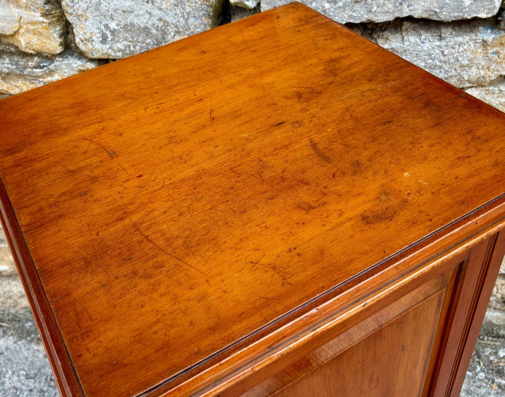 An Edwardian warm brown walnut pot cupboard featuring a single panelled door with a brass handle and reeded side moulding. View XIII