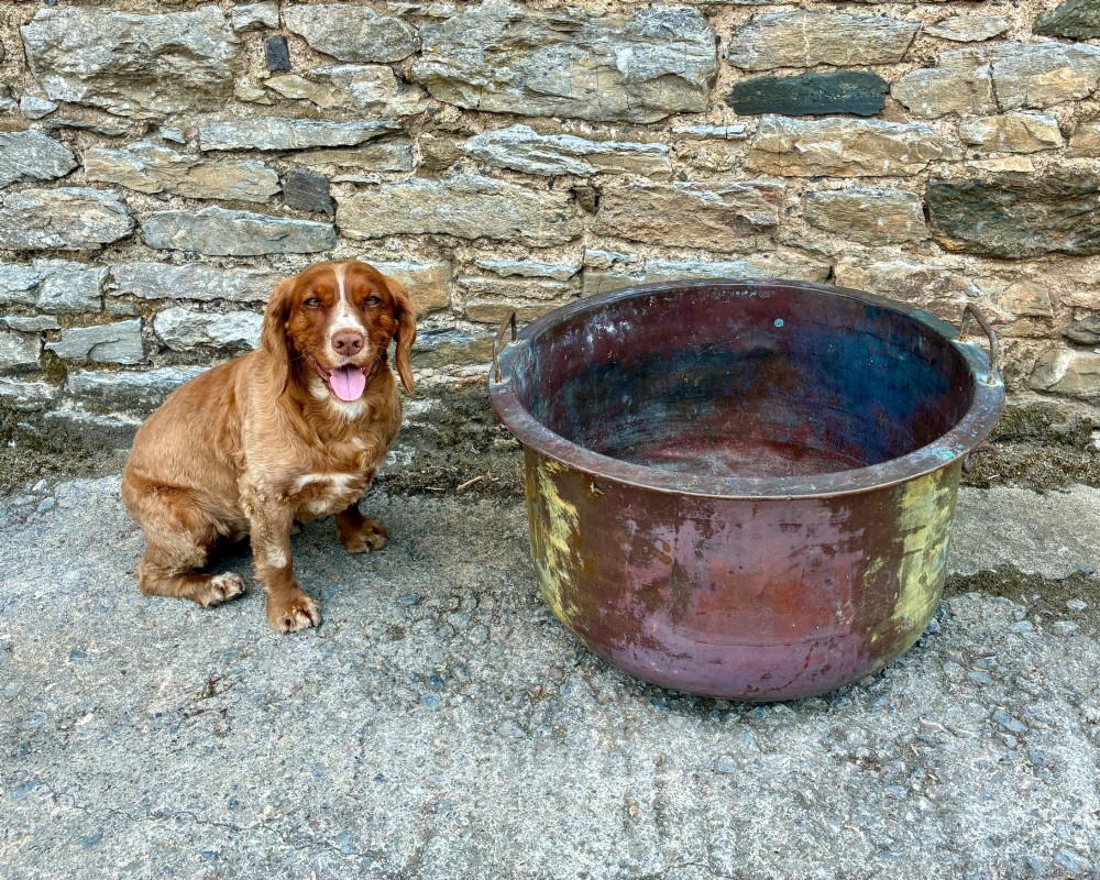 A large, circular antique copper wash tub featuring twin wrought iron carrying handles, a rolled rim, and heavy surface oxidisation with verdigris. View X