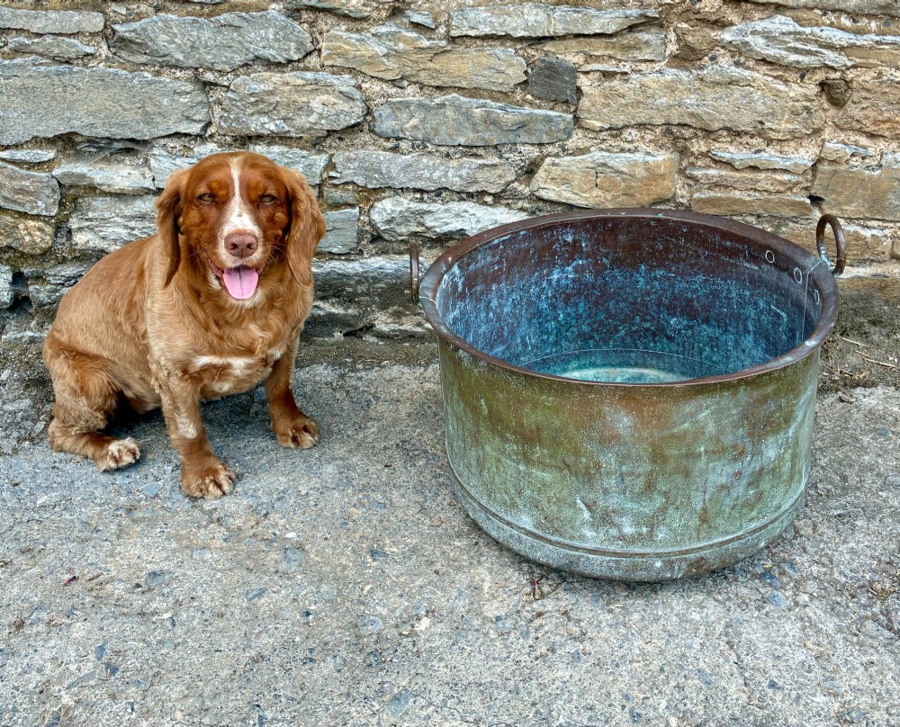 A large cylindrical antique copper wash tub featuring a flared rolled rim, side handles, and a heavily aged green verdigris patina. View X
