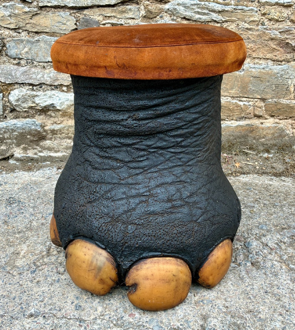 An antique taxidermy elephant foot converted into a footstool, featuring dark textured hide with preserved base toenails and a cushioned tan suede seat. View III