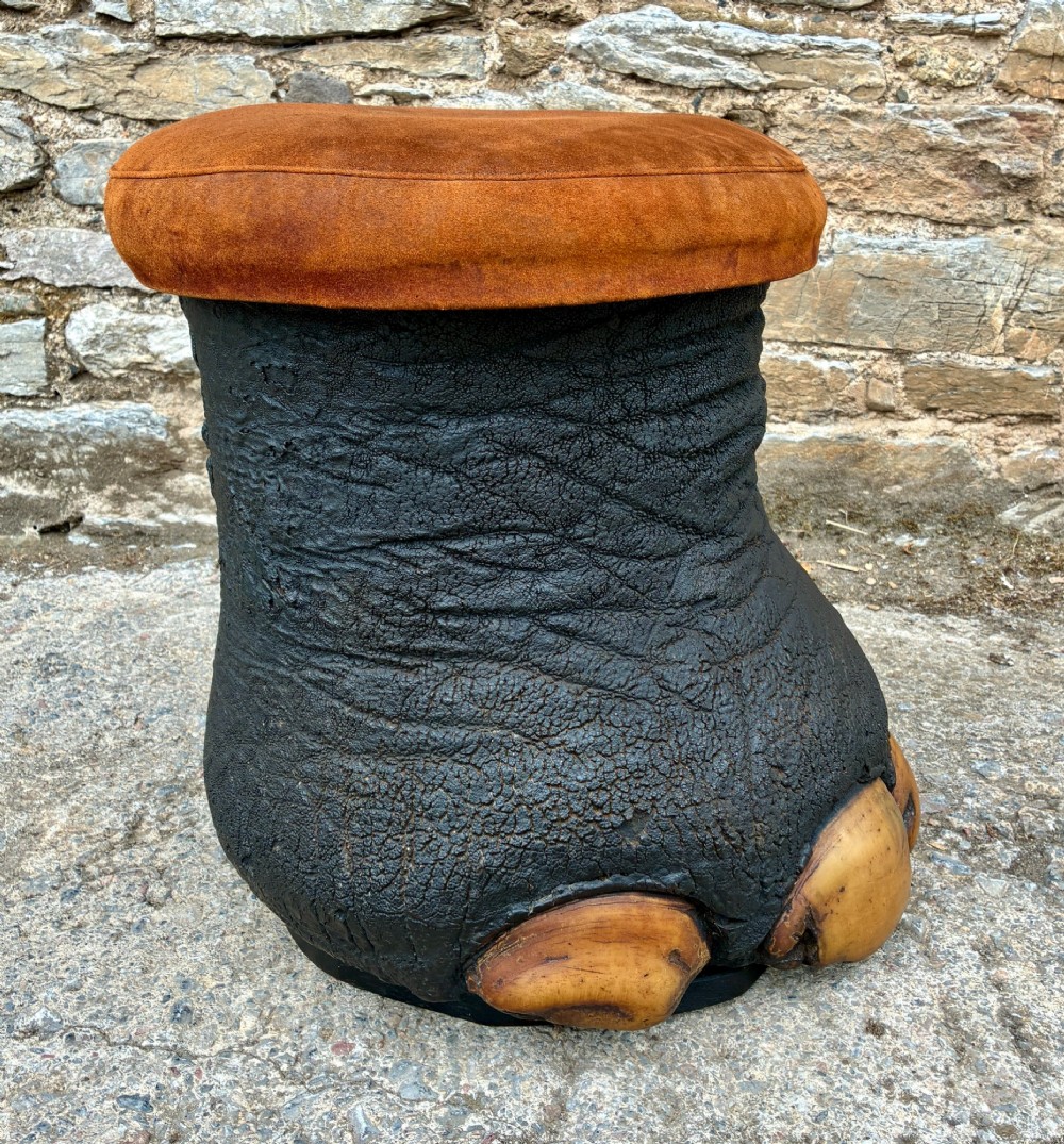 An antique taxidermy elephant foot converted into a footstool, featuring dark textured hide with preserved base toenails and a cushioned tan suede seat. View VII