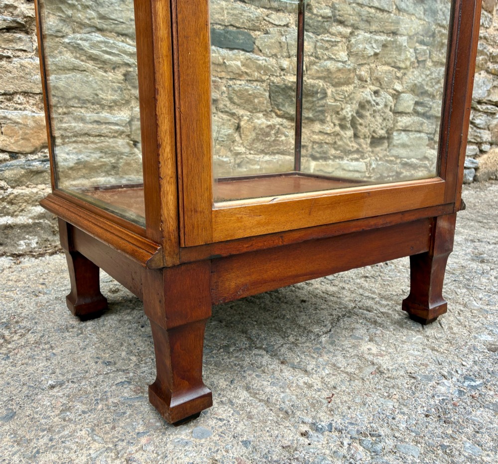 A tall, slim mahogany shop display cabinet featuring glass side panels, a single glazed door, three interior glass shelves, and brass catches. View IX