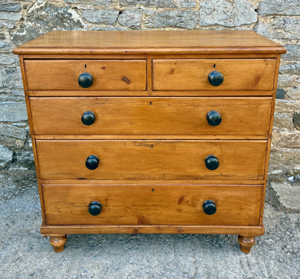 An antique warm pine chest of drawers featuring a two-over-three drawer arrangement with dark turned wooden knobs.
