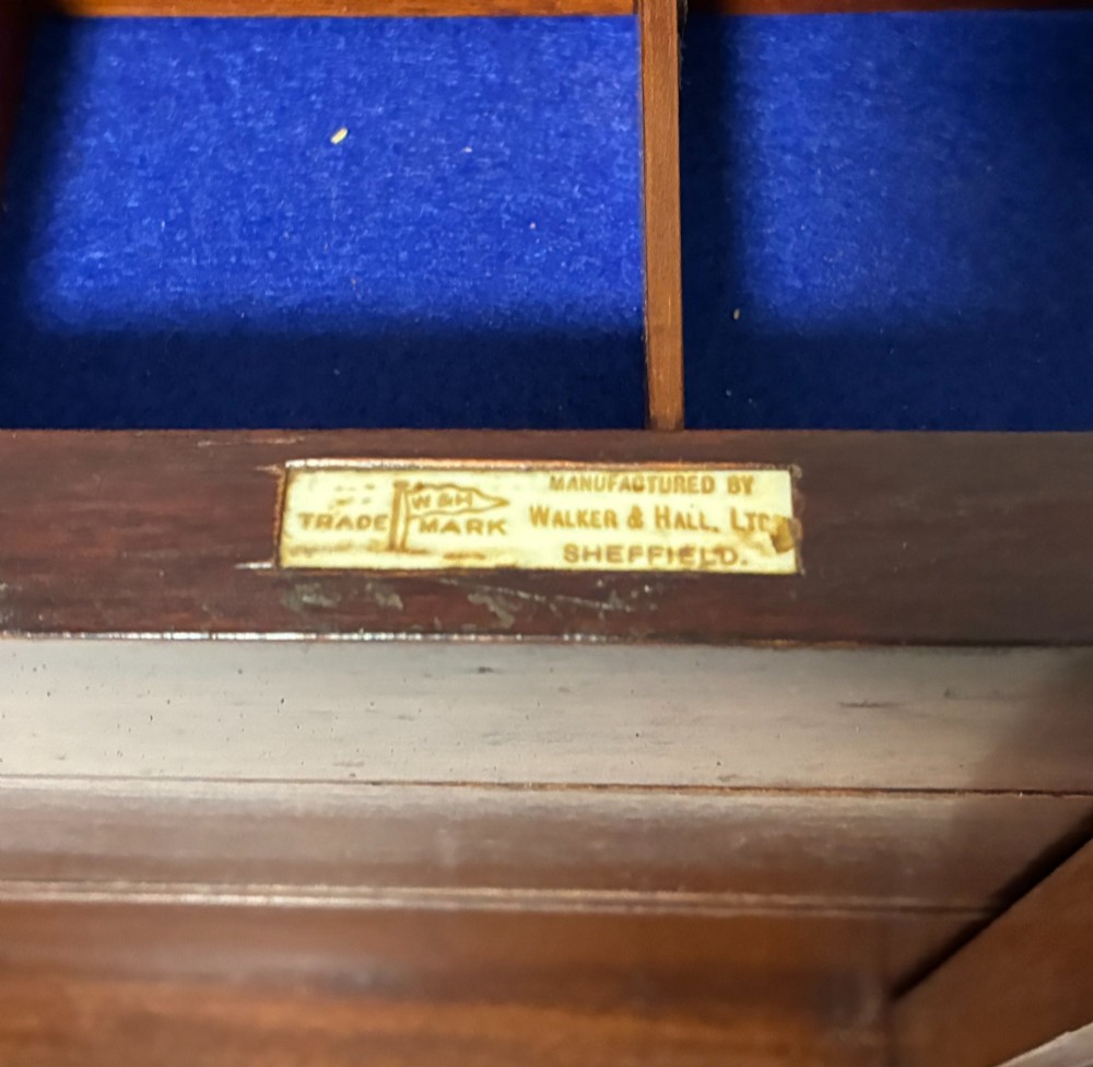 Alternate View