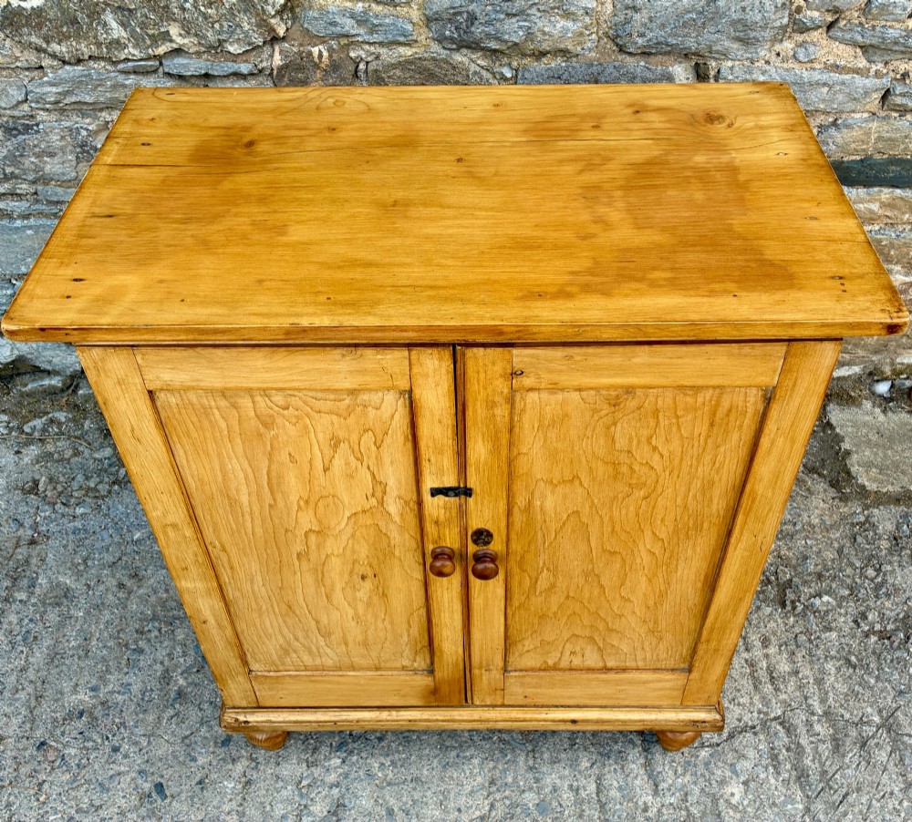 Antique Pine Cupboard View II