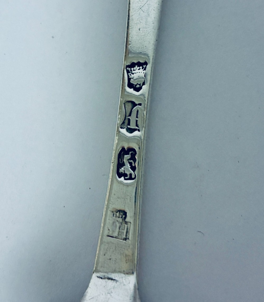 An 18th-century sterling silver serving spoon with a wide oval bowl and a smooth stem handle resting on a plain background. View VIII