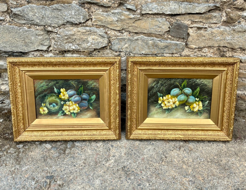 A matching pair of Victorian still life oil paintings depicting plums, primroses, and a bird nest in ornate gold gilded frames.