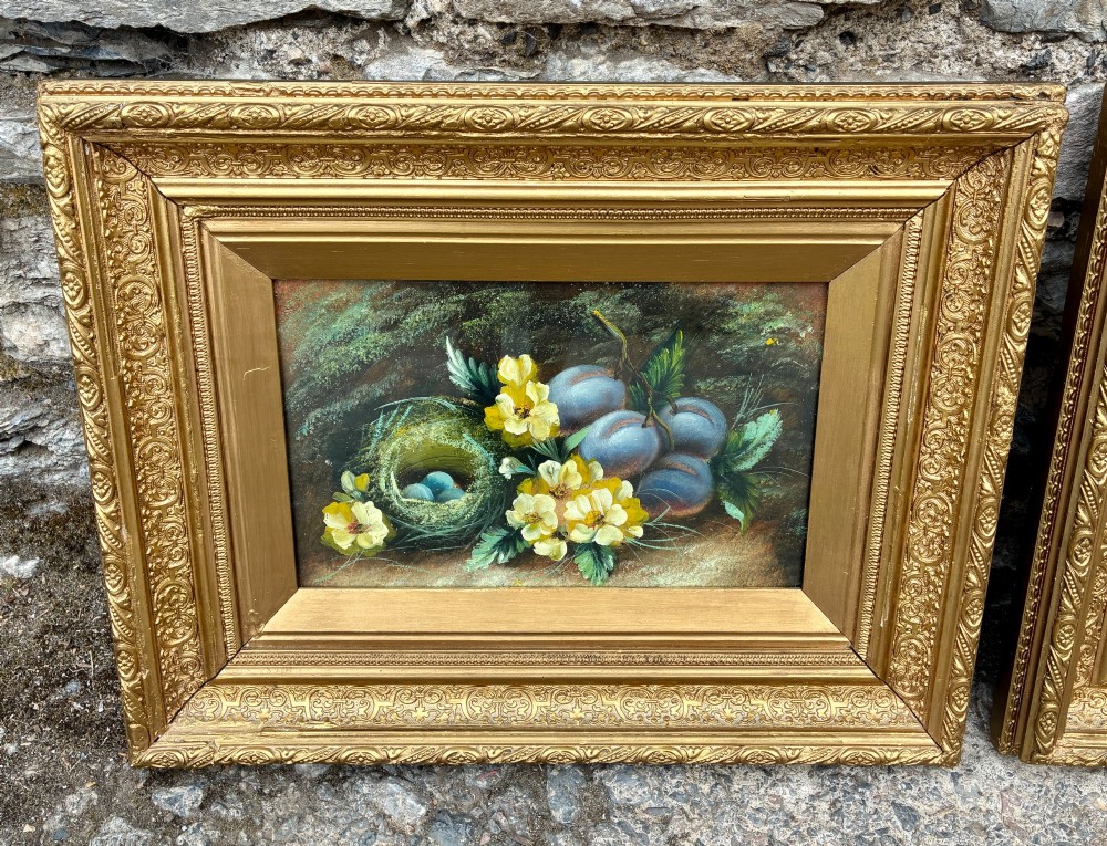 A matching pair of Victorian still life oil paintings depicting plums, primroses, and a bird nest in ornate gold gilded frames. View II