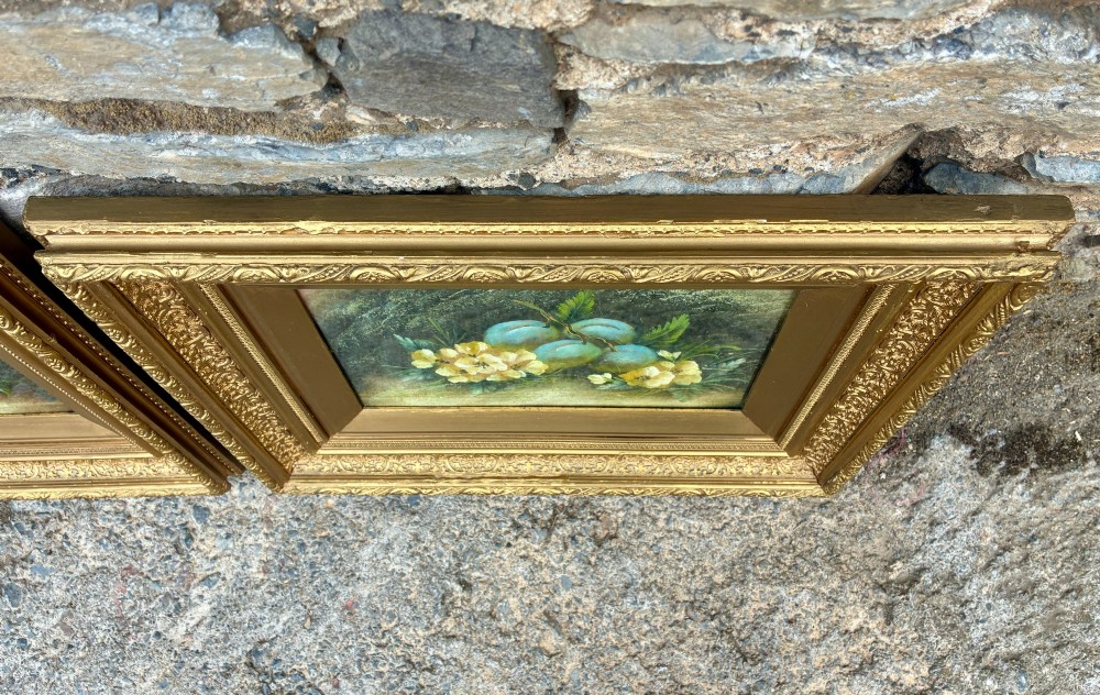 A matching pair of Victorian still life oil paintings depicting plums, primroses, and a bird nest in ornate gold gilded frames. View VII
