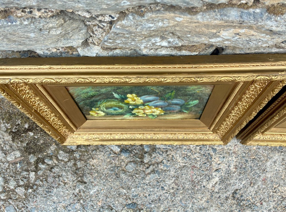 A matching pair of Victorian still life oil paintings depicting plums, primroses, and a bird nest in ornate gold gilded frames. View VIII