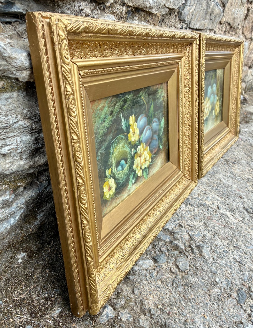 A matching pair of Victorian still life oil paintings depicting plums, primroses, and a bird nest in ornate gold gilded frames. View IX