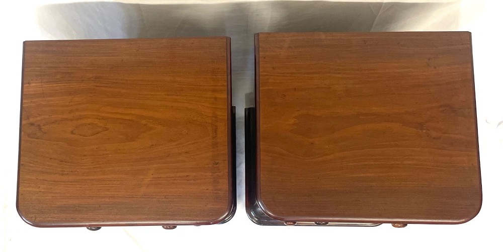 A matching pair of dark mahogany bedside cabinets featuring a top drawer with turned wooden knobs above a recessed arched panel cupboard door set on a plinth base. View VIII