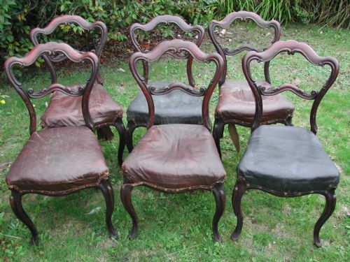 bargin basement set of six victorian dinning chairs circa 1895 - CATEGORY: ANTIQUE CHAIRS - DATED 1890
