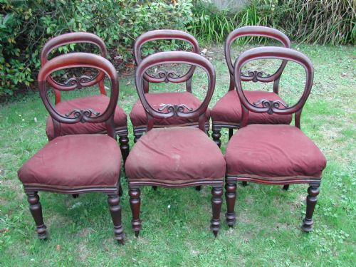 bargin basement set of six victorian mahogany hoop back dinning chairs circa 1890 - CATEGORY: ANTIQUE CHAIRS - DATED 1890