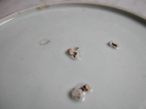 JAPANESE ARITA BLUE AND WHITE DISH SECOND HALF 17TH CENTURY - ADDITIONAL PHOTO 4