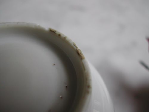 A PAIR OF CHINESE EXPORT WARE TEA BOWLS FROM THE SECOND HALF OF THE 18TH CENTURY - ADDITIONAL PHOTO 6