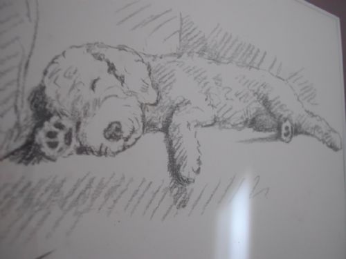MAC A FINE AND AMUSING PENCIL SKETCH OF A YOUNG DOG ASLEEP ON A CHAIR DATED 1937 - ADDITIONAL PHOTO 1