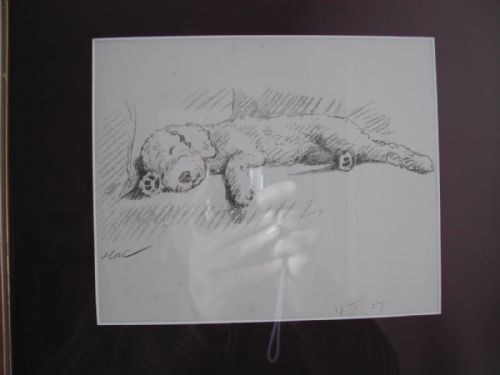 MAC A FINE AND AMUSING PENCIL SKETCH OF A YOUNG DOG ASLEEP ON A CHAIR DATED 1937 - ADDITIONAL PHOTO 5