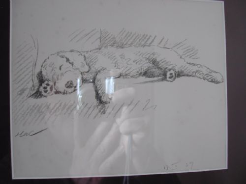 MAC A FINE AND AMUSING PENCIL SKETCH OF A YOUNG DOG ASLEEP ON A CHAIR DATED 1937 - ADDITIONAL PHOTO 6