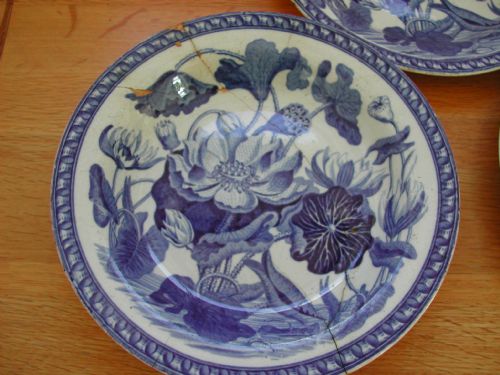 WEDGWOOD DARWIN BOTANICAL SET OF THREE PLATES CIRCA 1800 - ADDITIONAL PHOTO 2