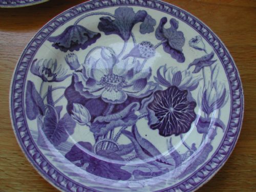 WEDGWOOD DARWIN BOTANICAL SET OF THREE PLATES CIRCA 1800 - ADDITIONAL PHOTO 4